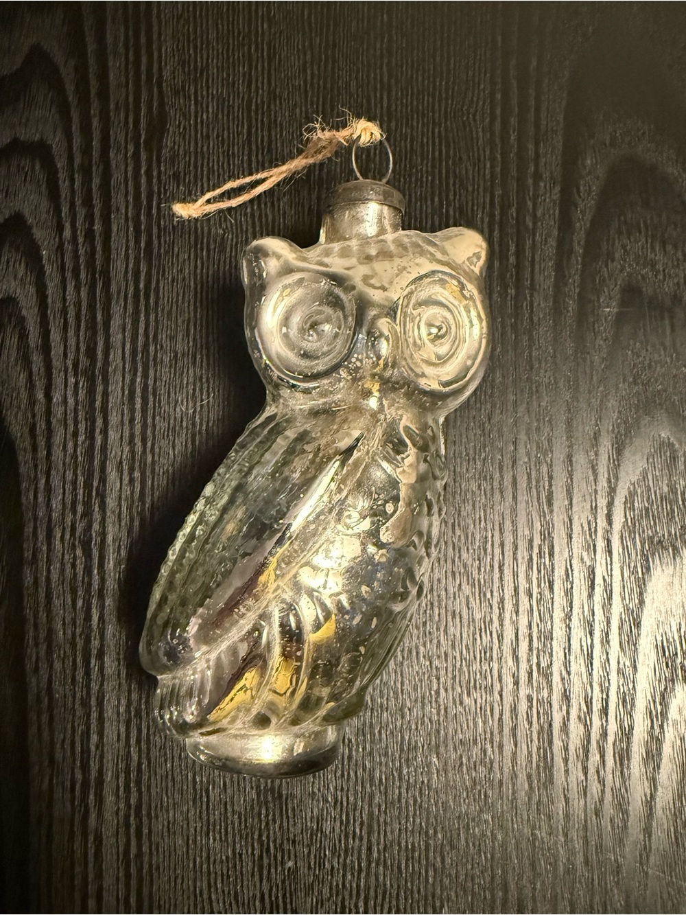 Pottery Barn Mercury Glass Owl Ornament in Silver with Gold Accents